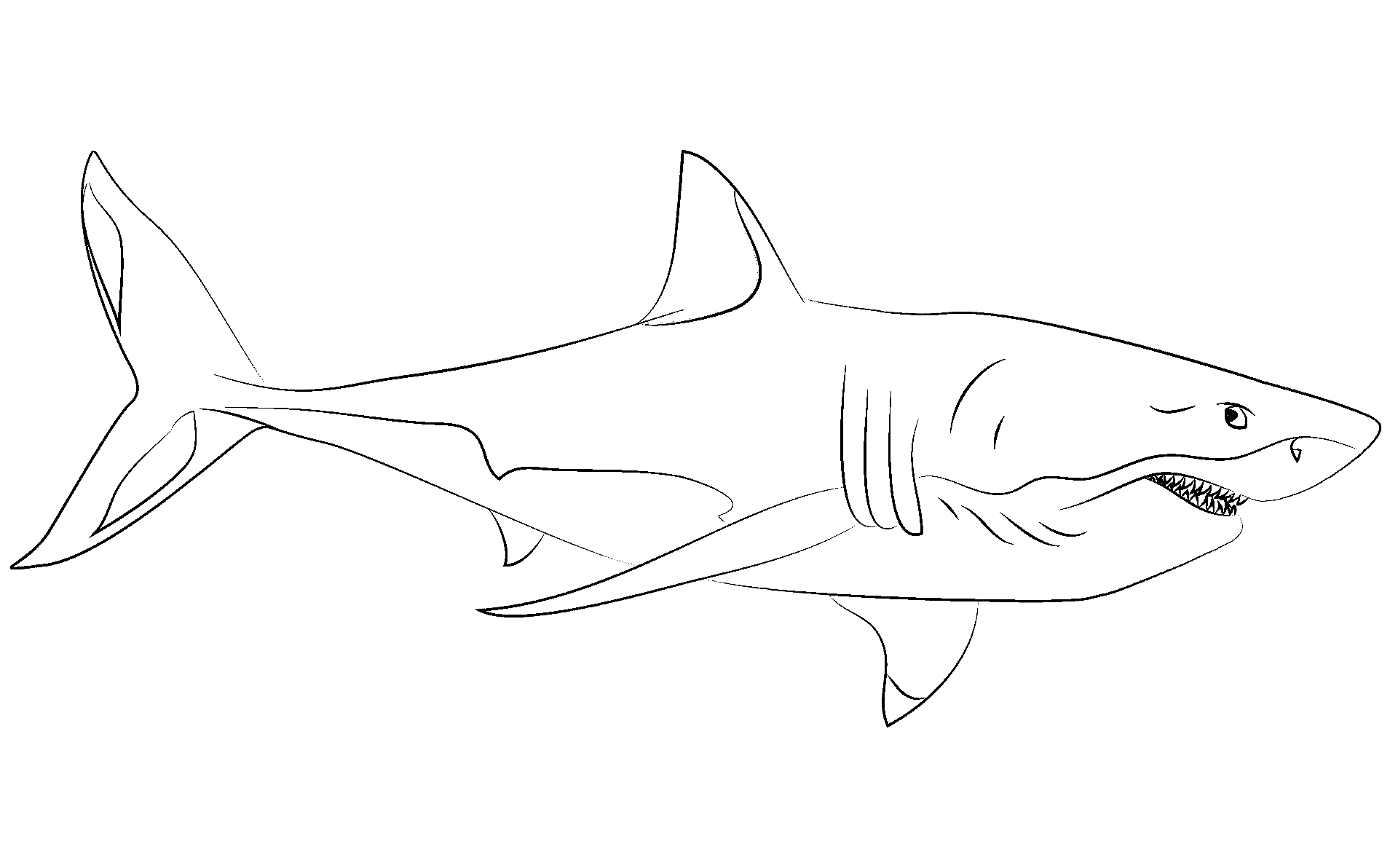 Kleurplaat van een haai