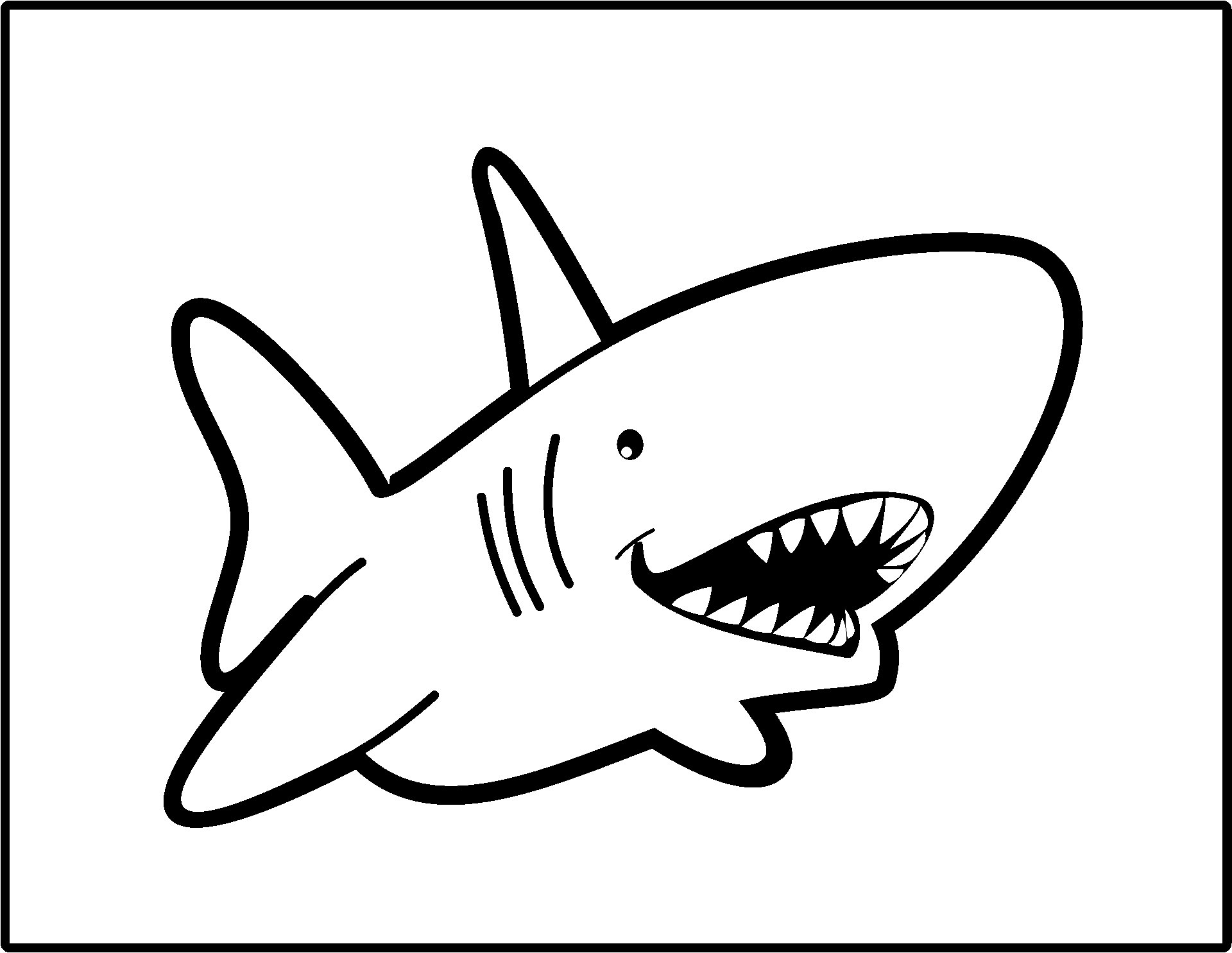 鲨鱼的彩页