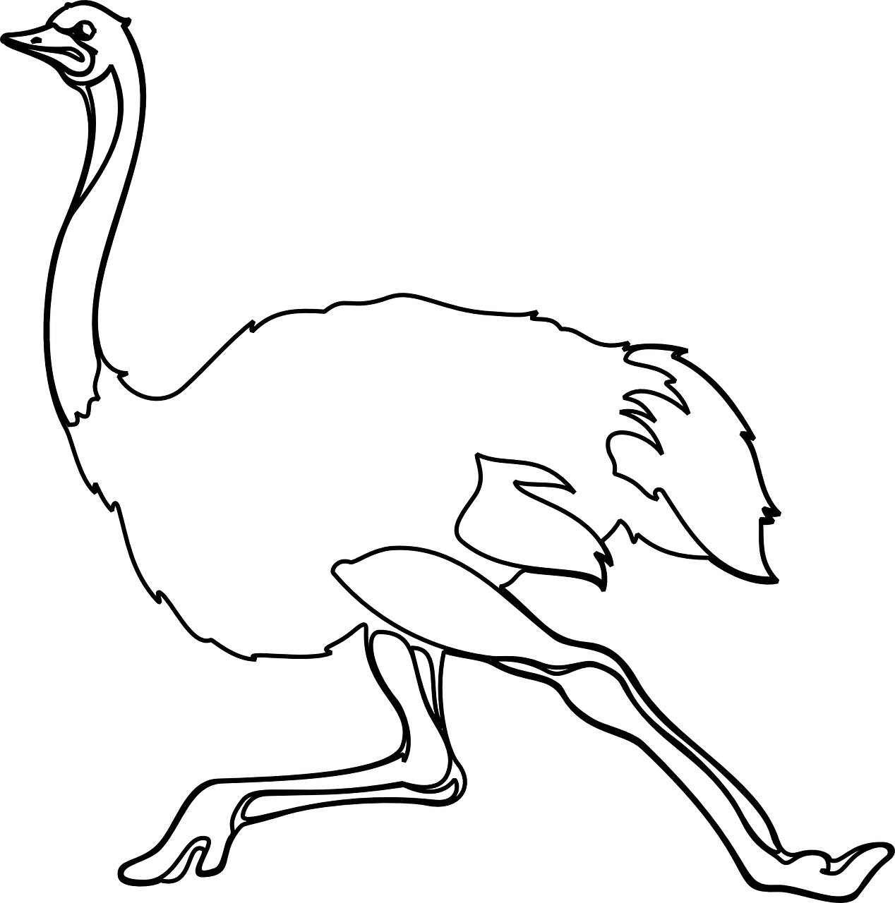 Kleurplaat van een struisvogel