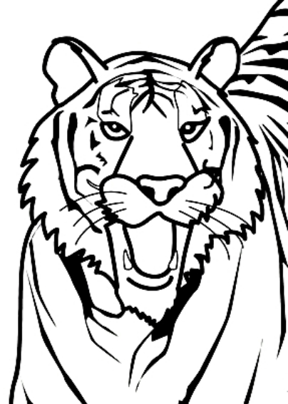Coloriage 7 des Tigres  imprimer et colorier