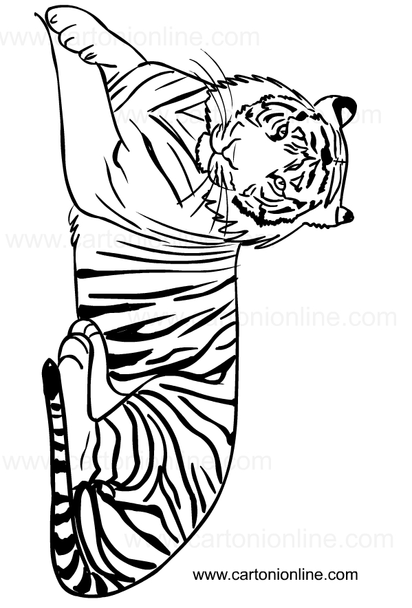 Drawing of tigers to print and color