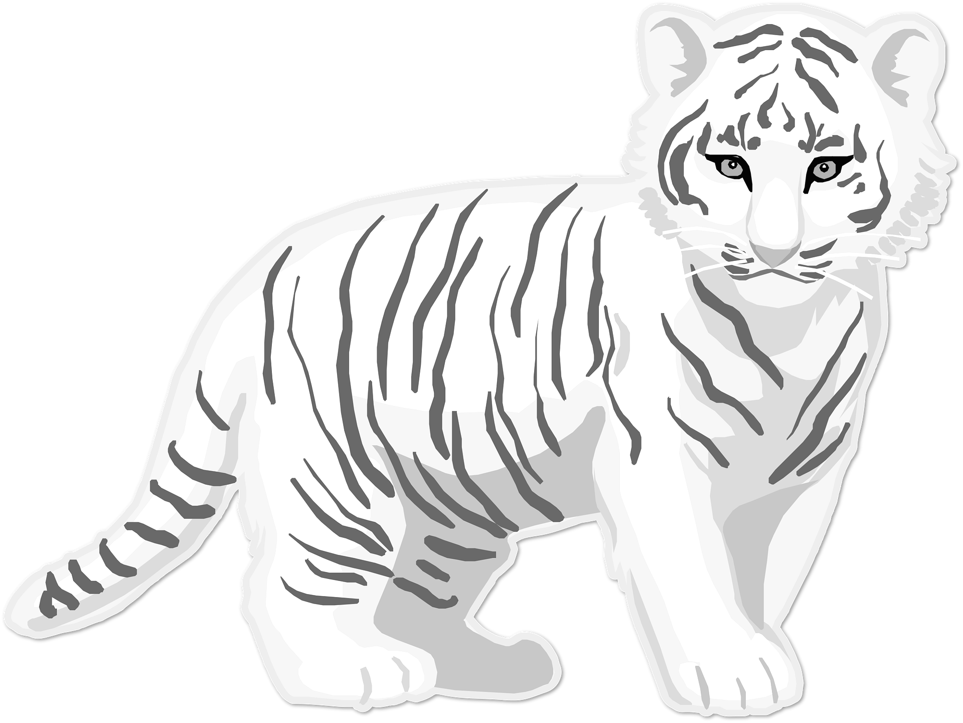 Dibujo para colorear de un tigre