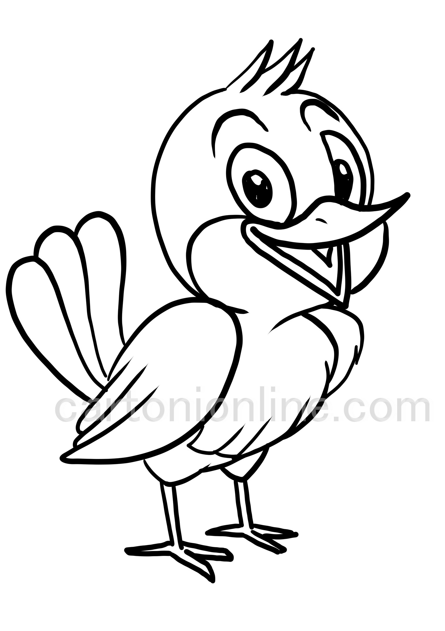 Style de dessin animé de page à colorier oiseau Sialia