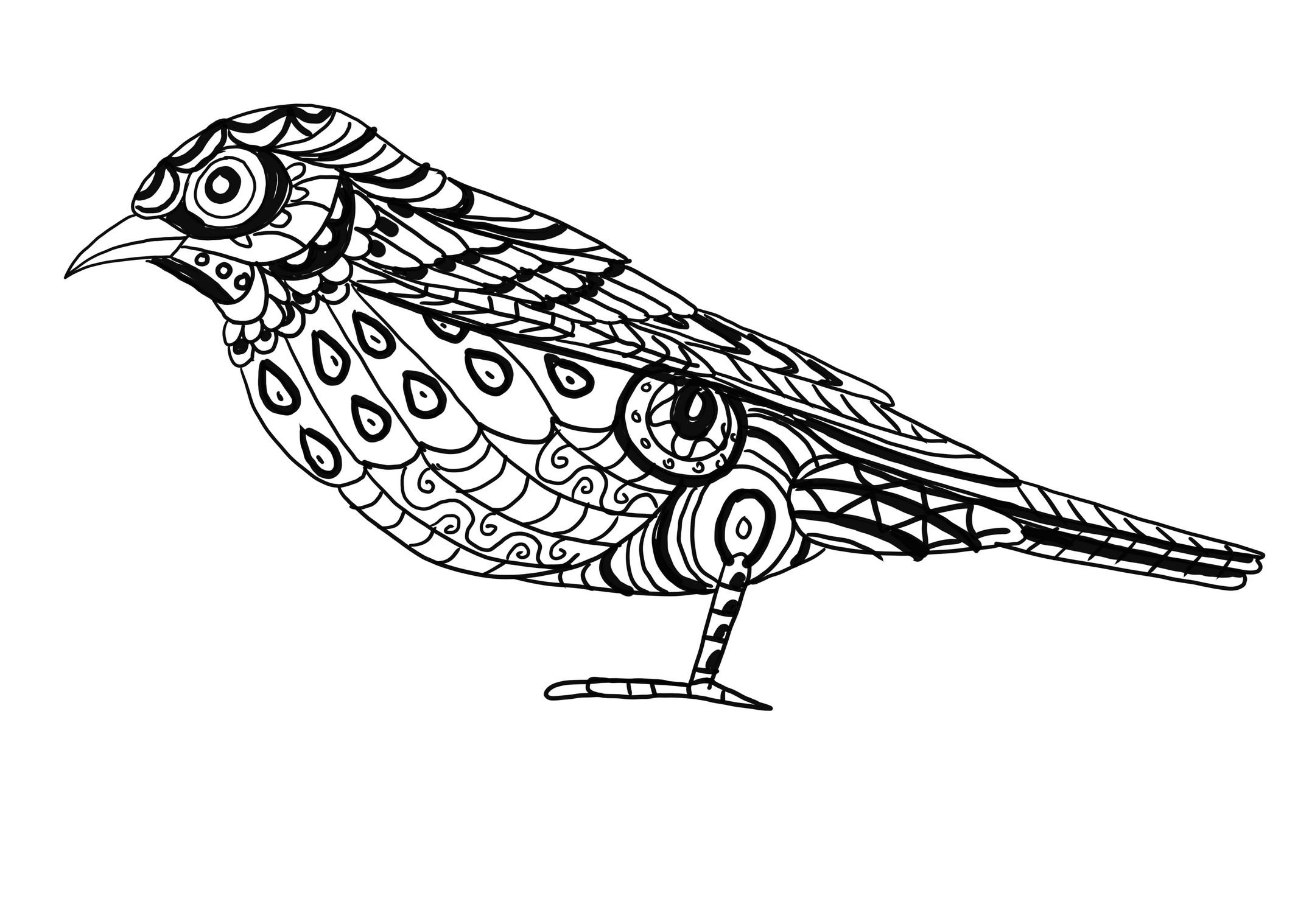 鳥のぬりディセグノを描くシアリア曼荼羅
