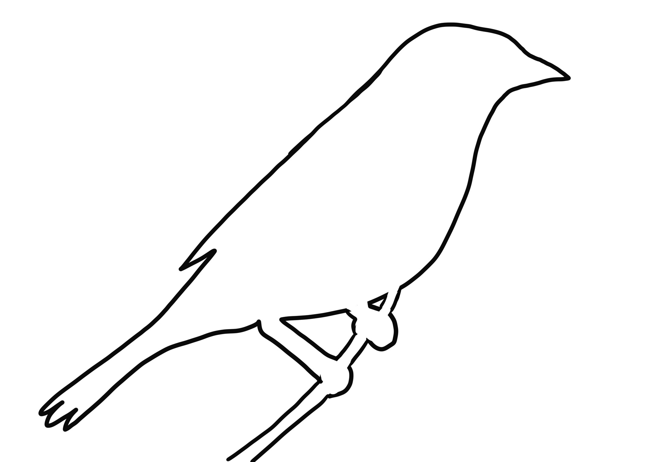 Coloriage de silhouette d'oiseau Sialia