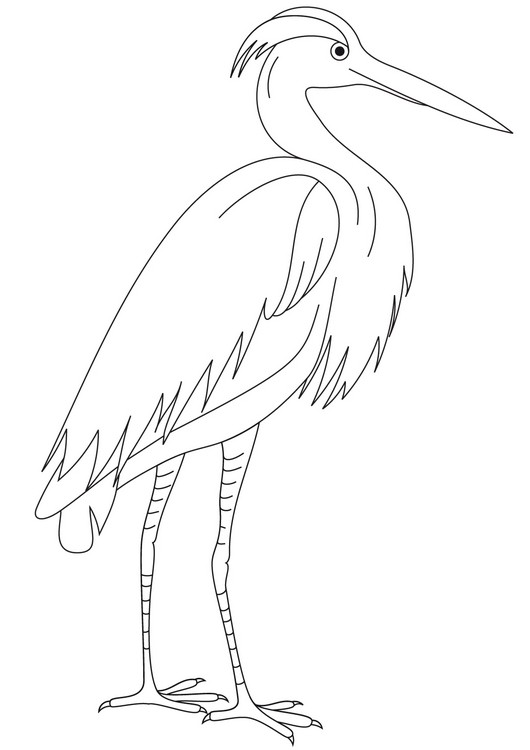 heron clipart coloring page