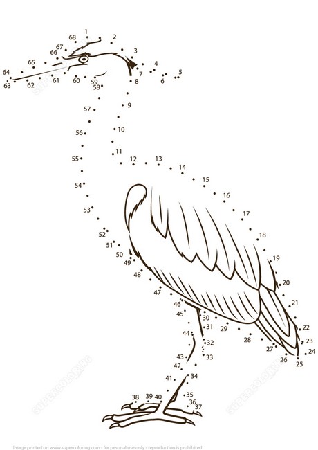 heron unite the dots and numbers coloring page to print and coloring