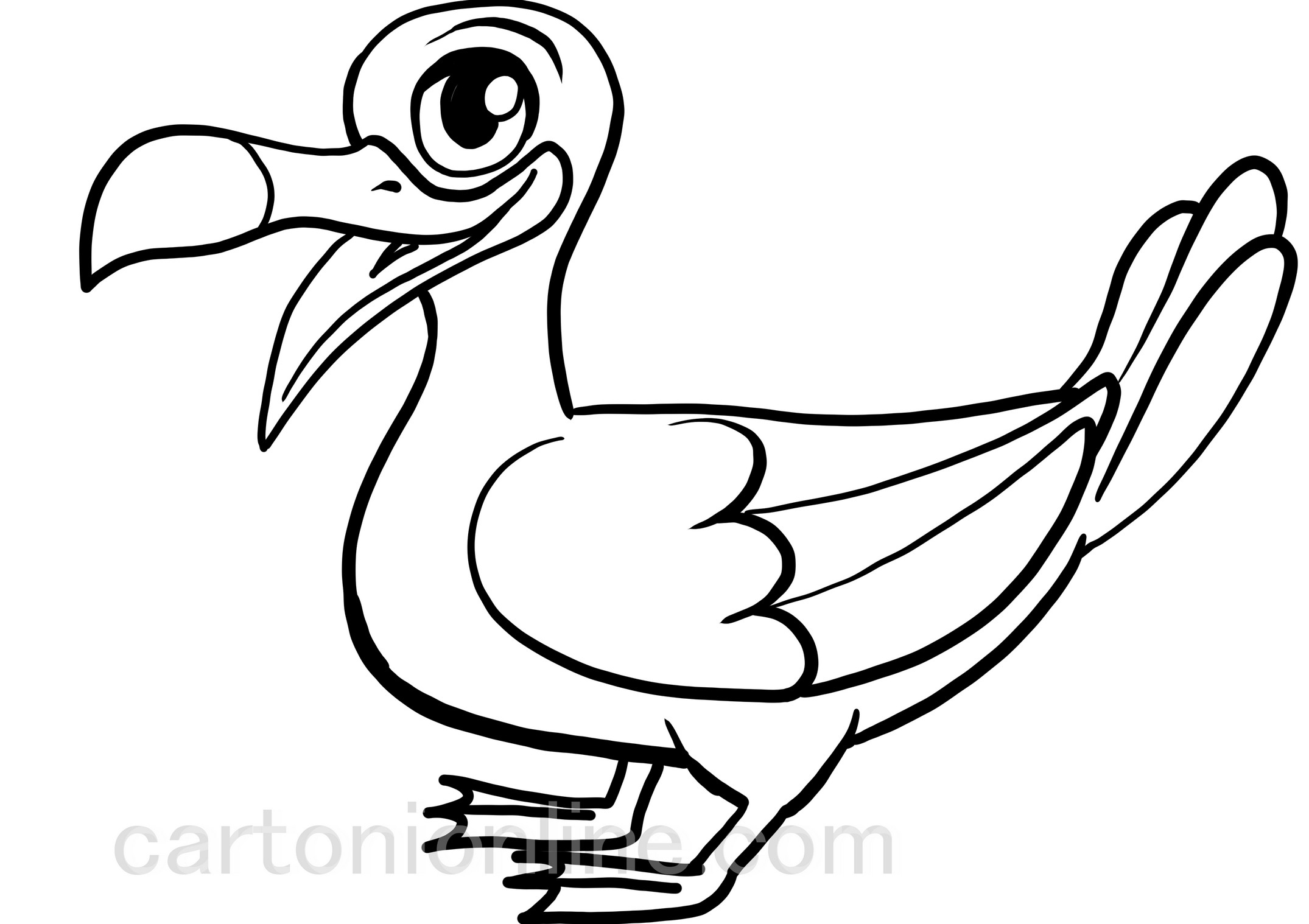 Albatross cartoon coloring page to print and coloring