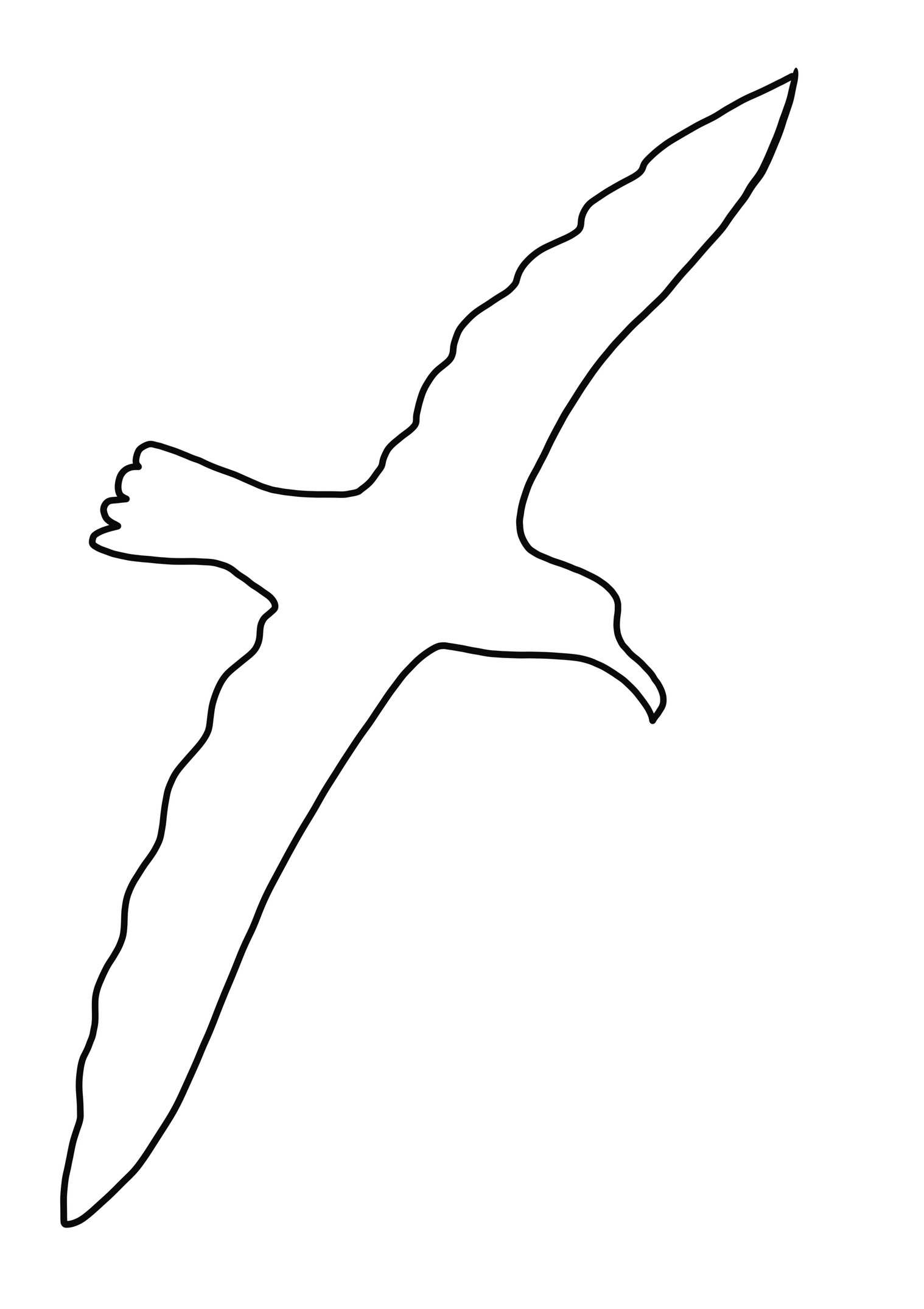 Dibujo de silueta de Albatros  para colorear 