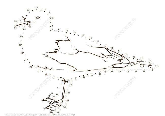 Albatross coloring page to connect the numbered dots