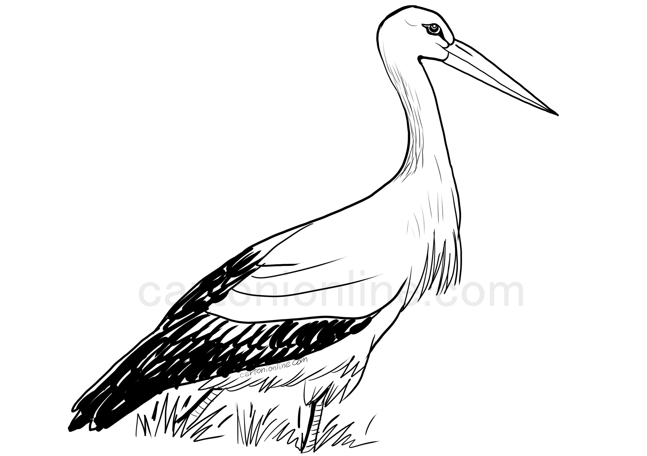 White stork sketch I. by PerjamosyArt on DeviantArt