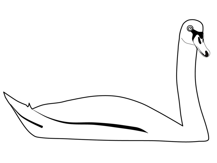 Dibujo de cisne realista para colorear