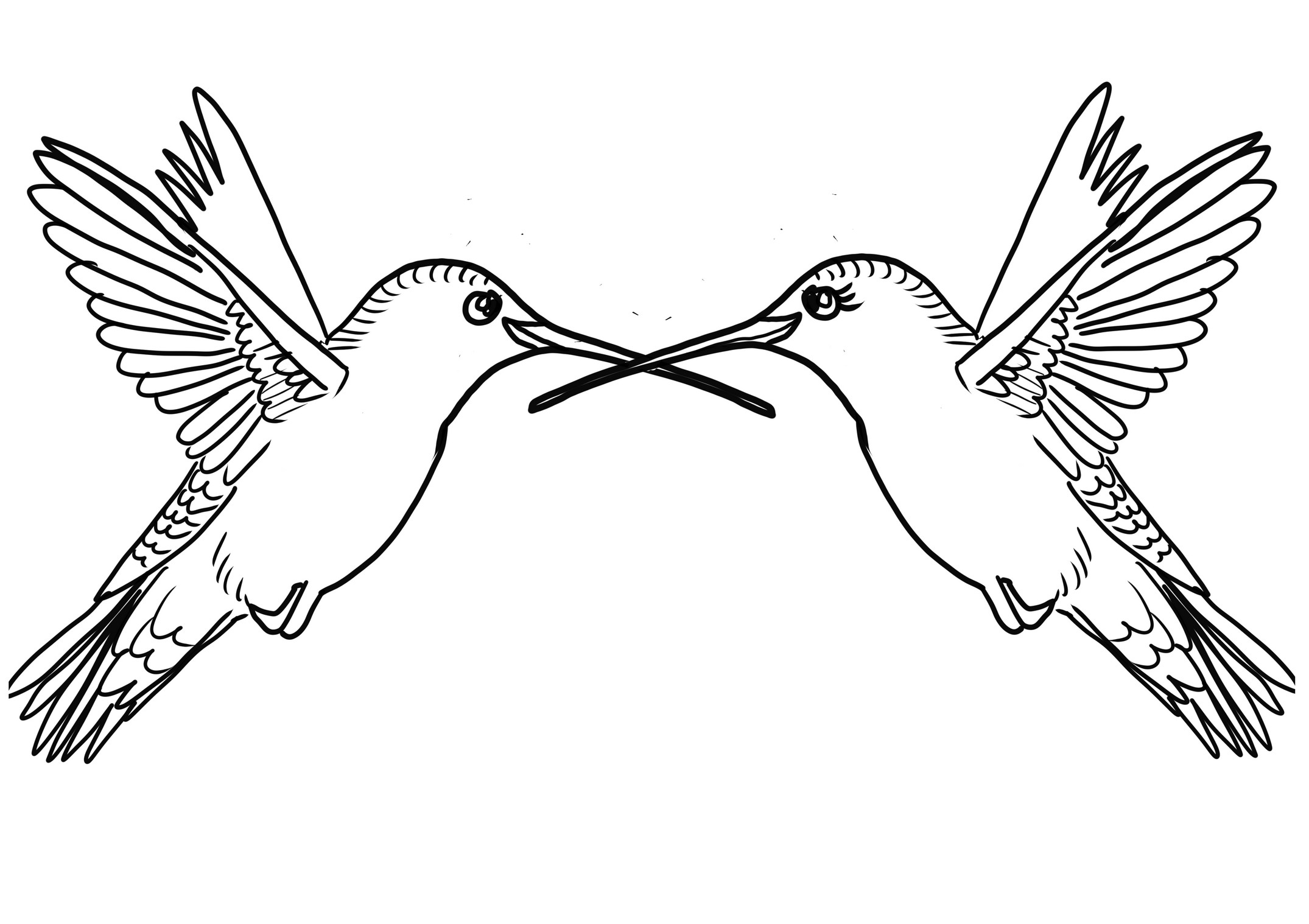Disegno da colorare di coppia di colibr innamorati