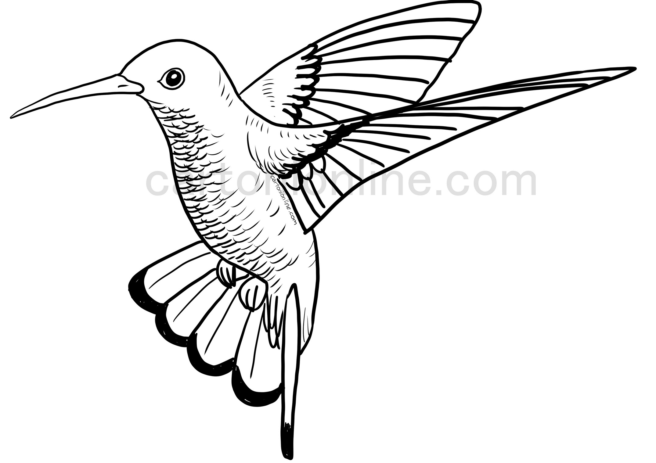 Página para colorear de colibrí volador
