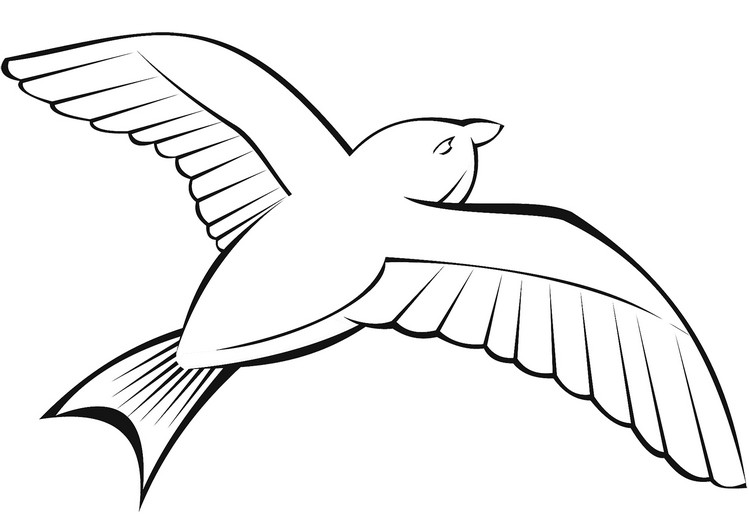 Realistic Dove coloring page