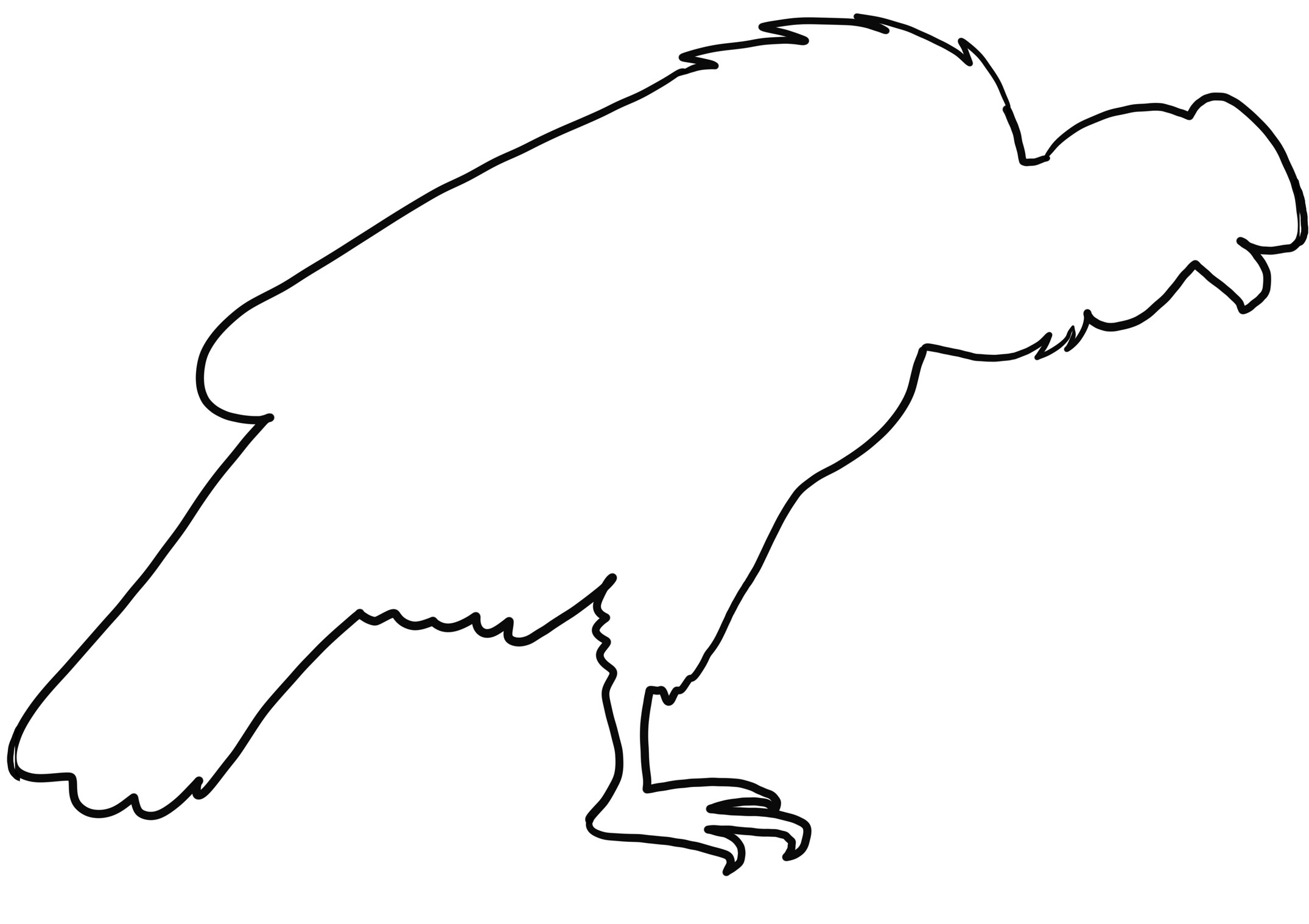 Disegno di condor realistico da colorare