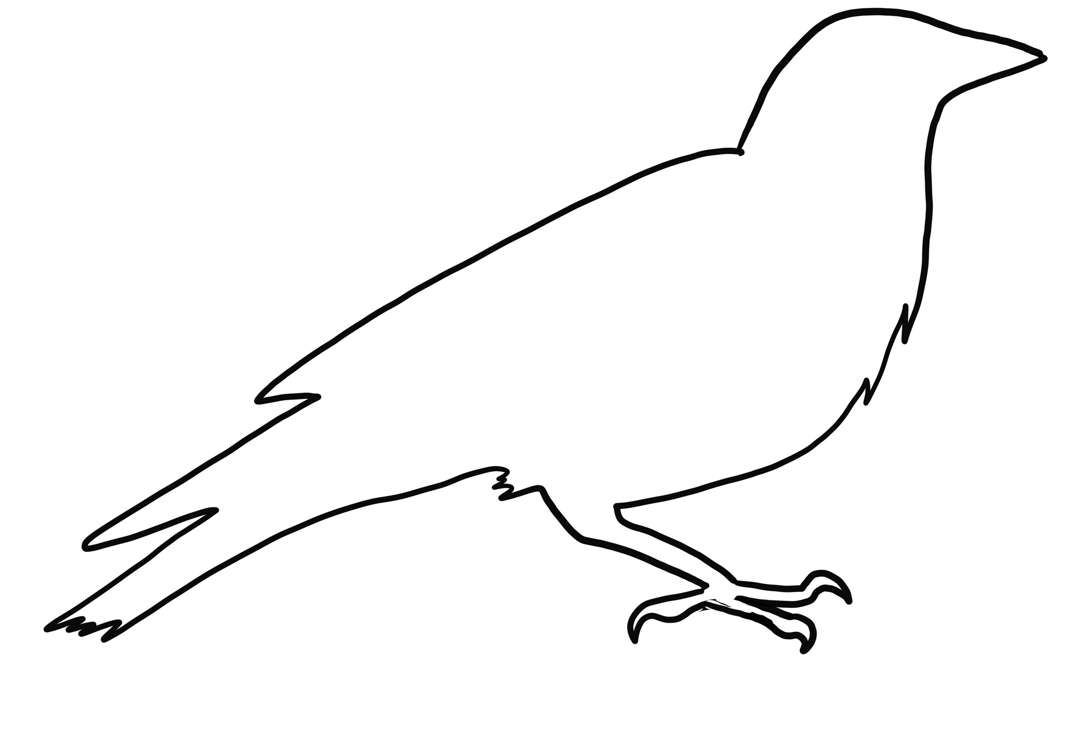 Realistic Crow coloring page