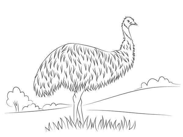 Coloring page by em  clipart