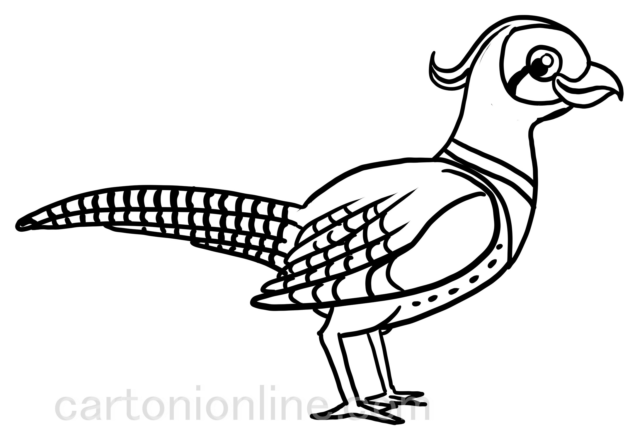 Cartoon stijl fazant kleurplaat