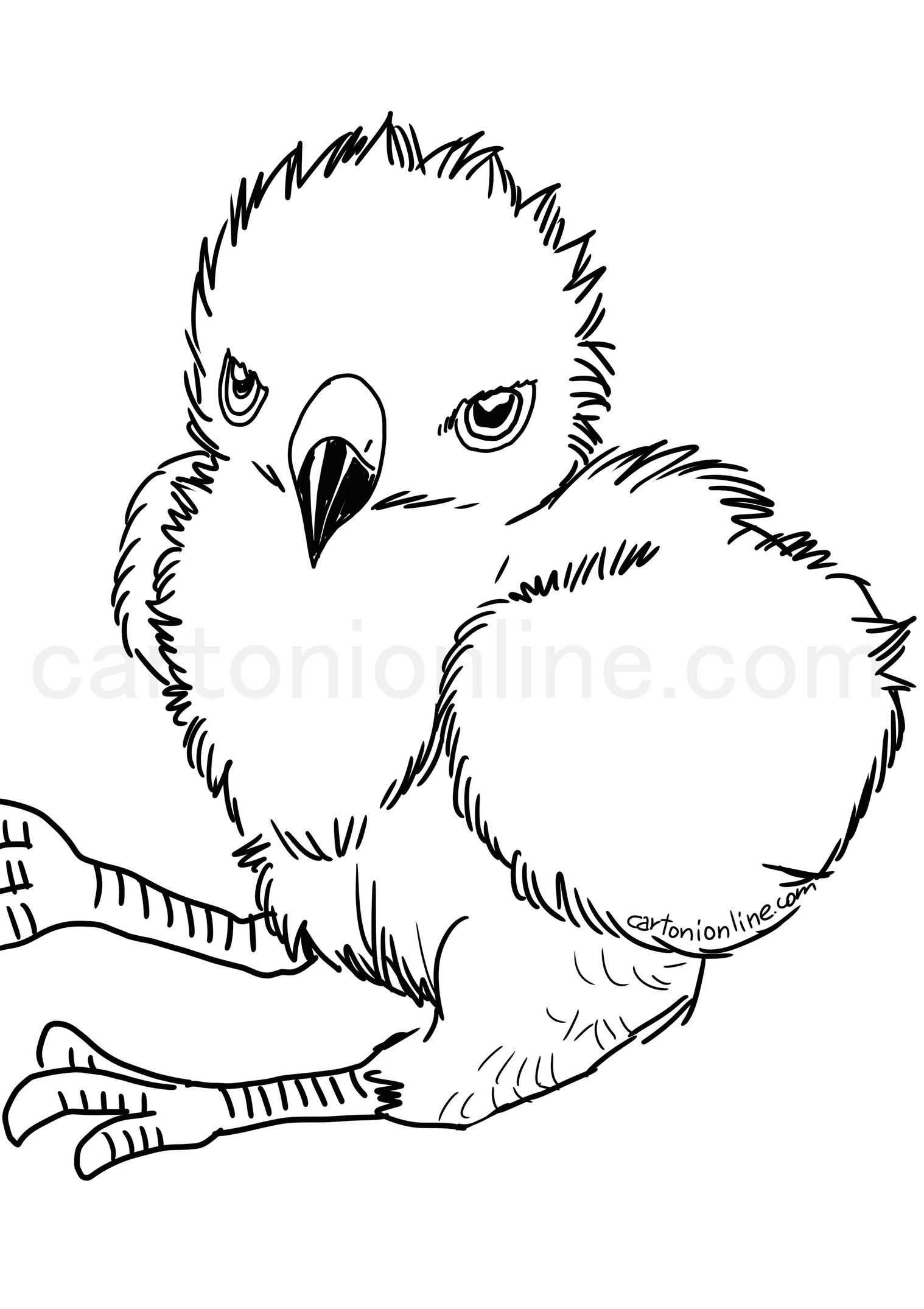 Hawk chick coloring page