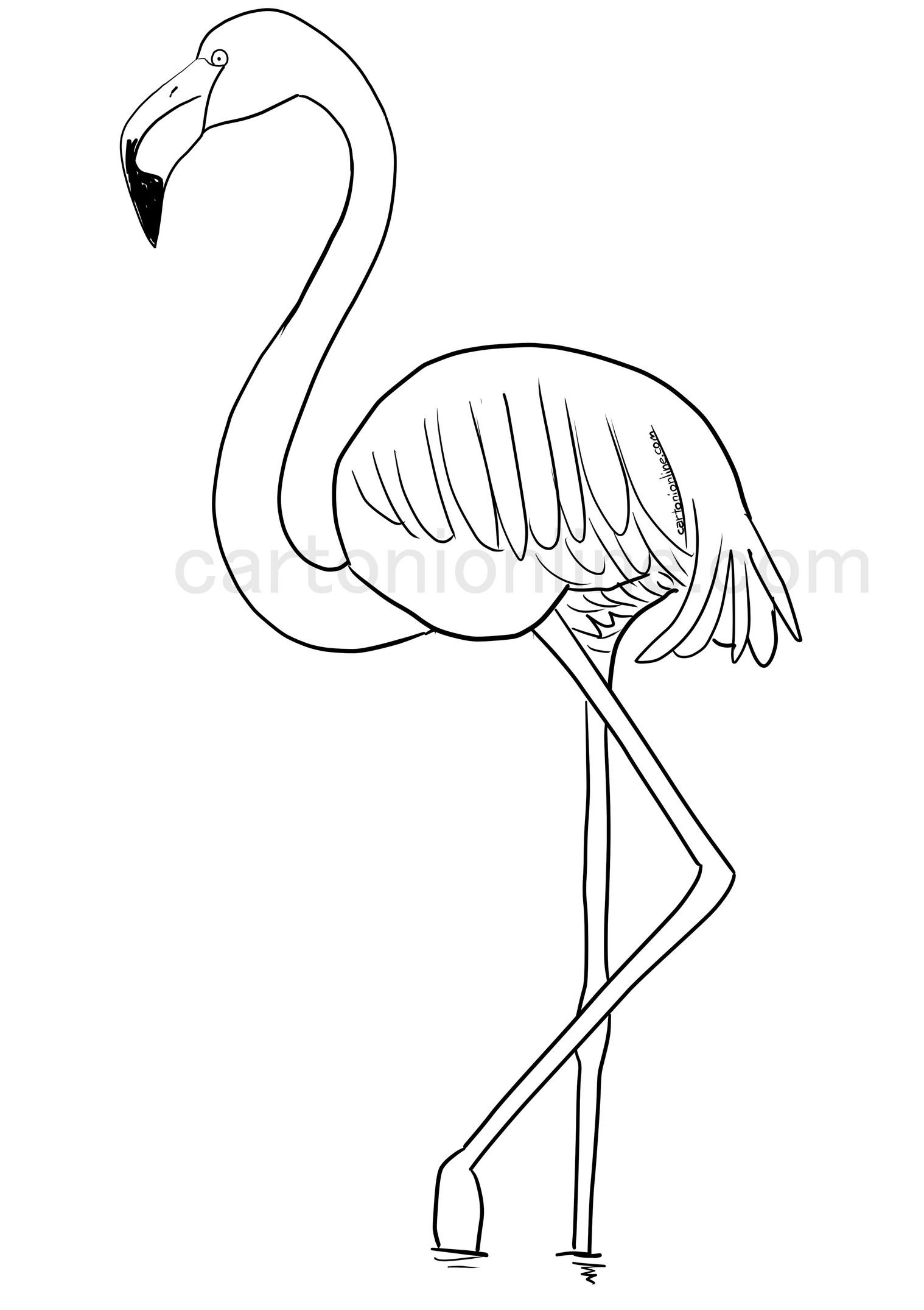 Realistic flamingo coloring page