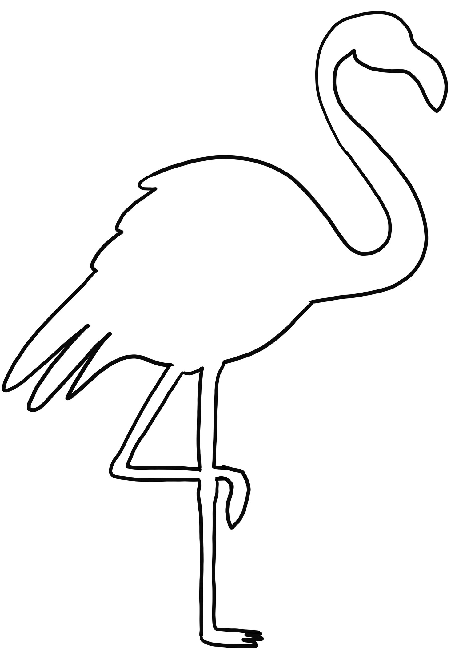 Realistic Flamingo coloring page