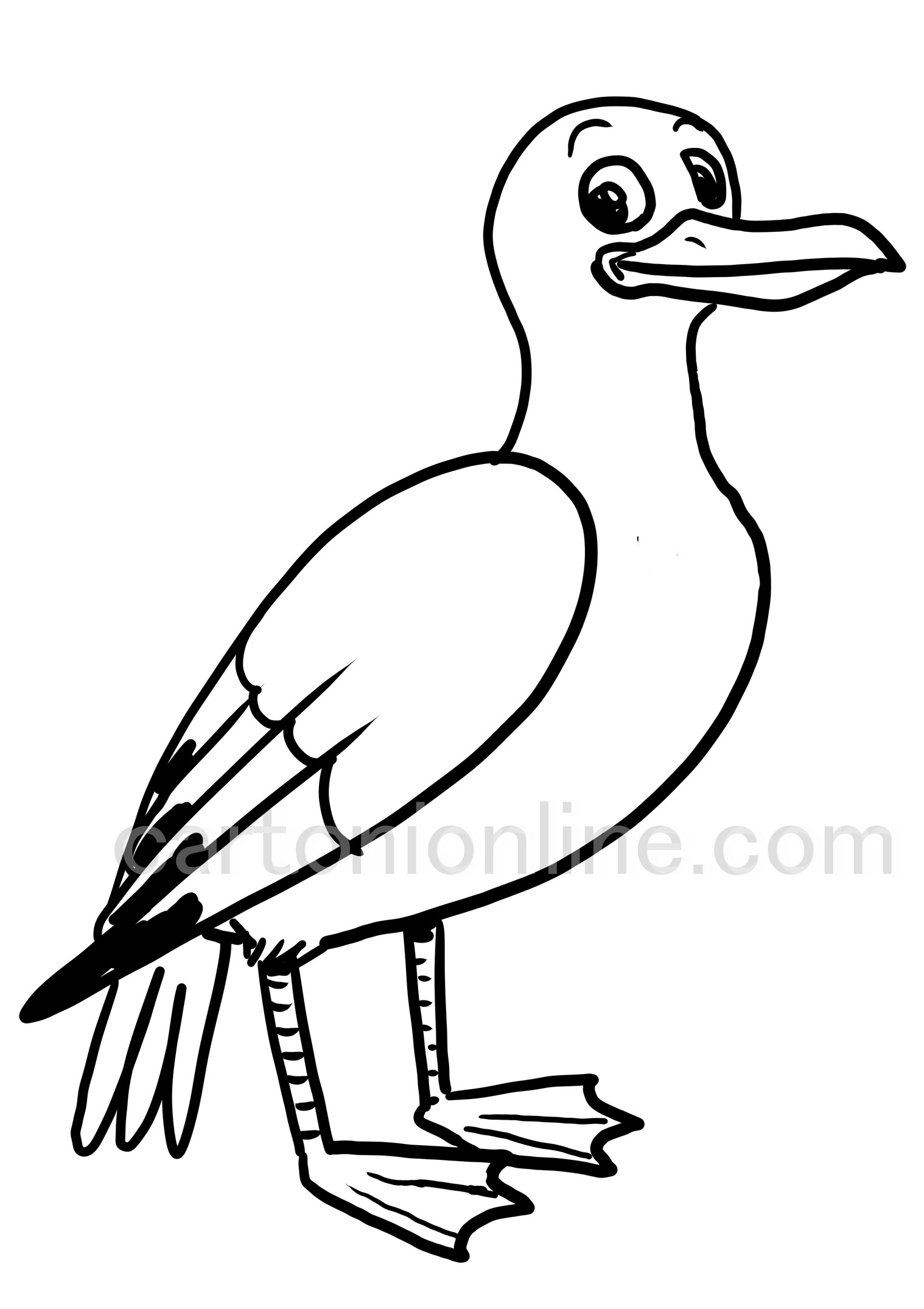 Cartoon style seagull coloring page