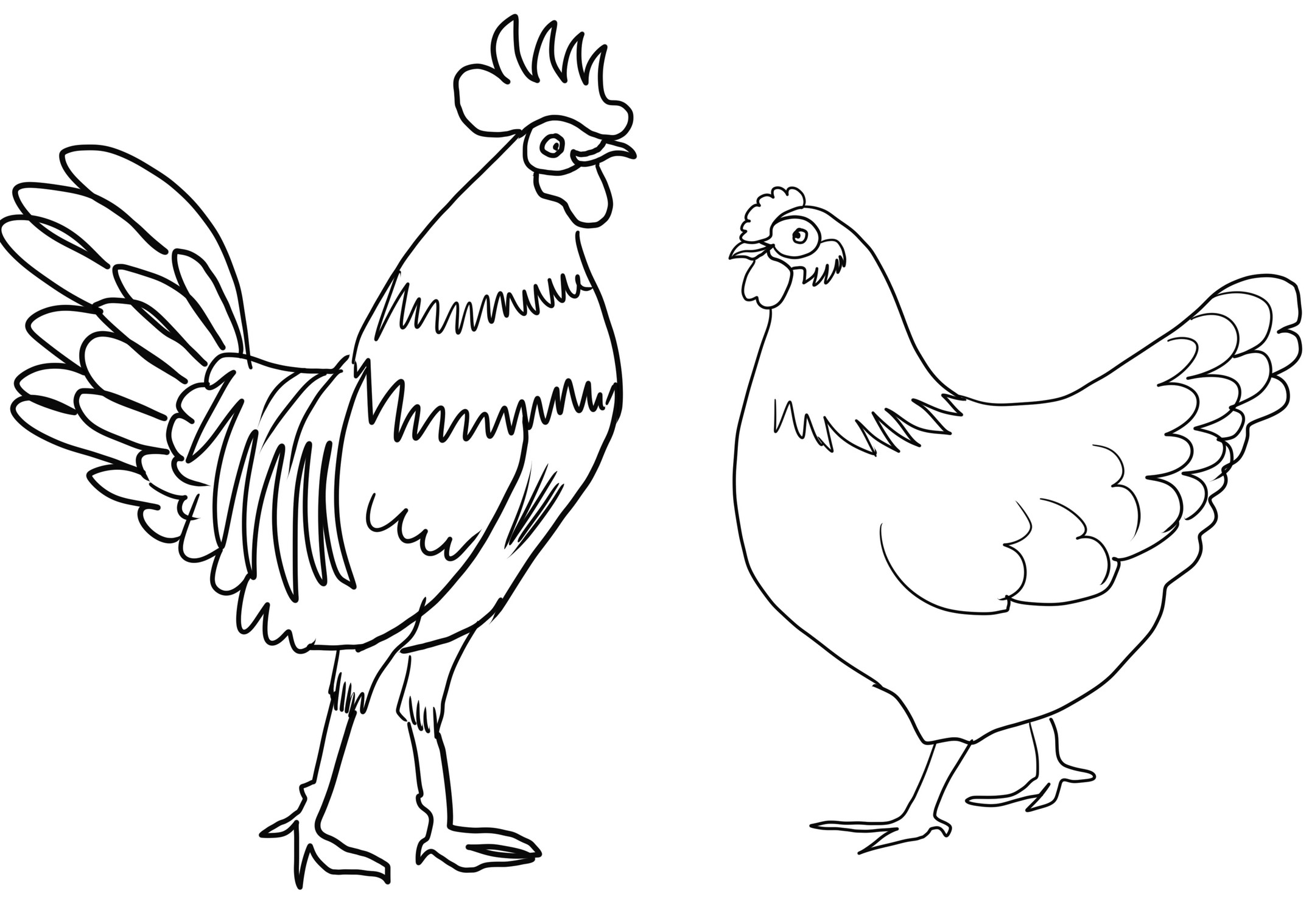 酉と鶏のカップルのぬり絵を描く
