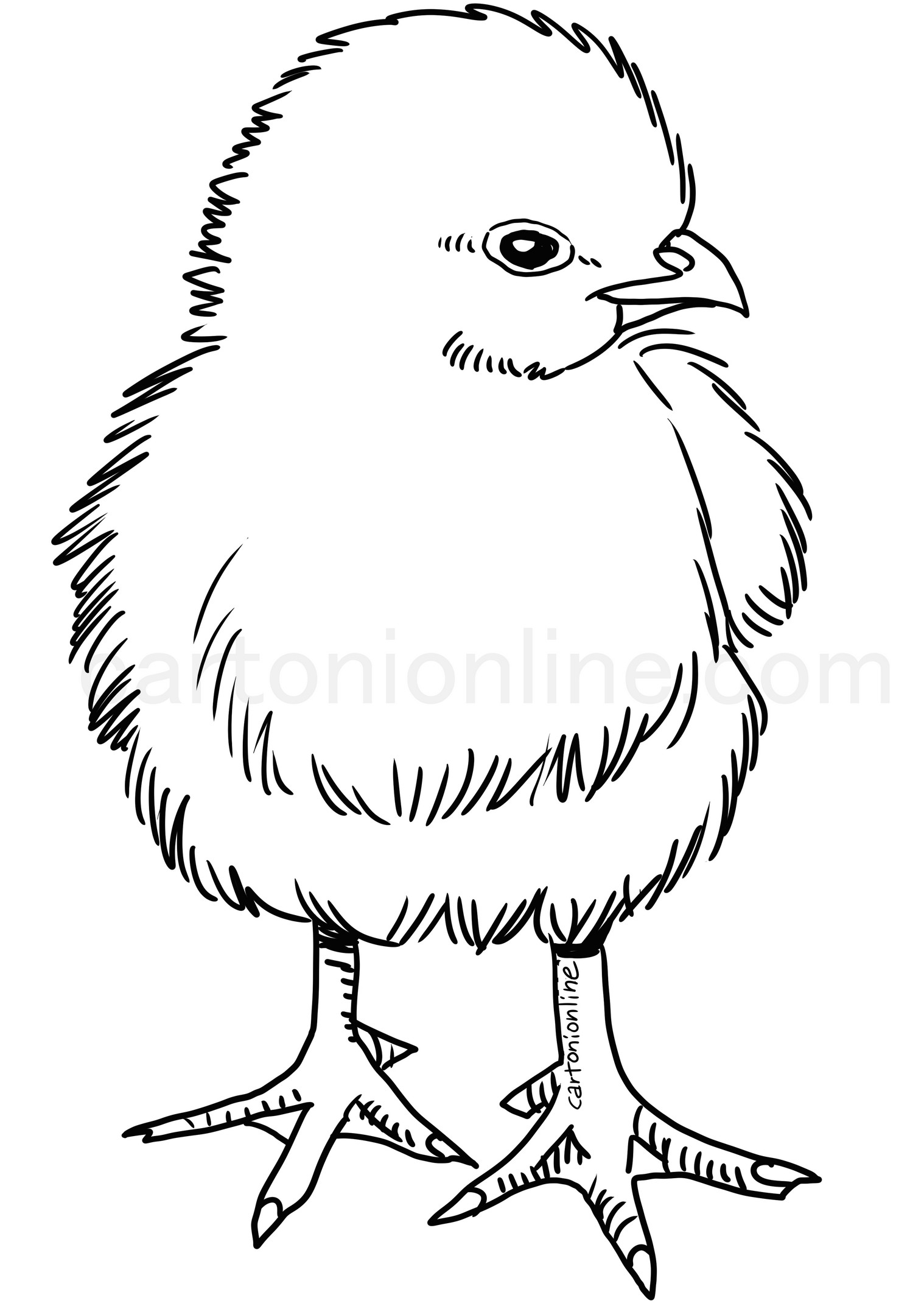 Realistic Hen coloring page