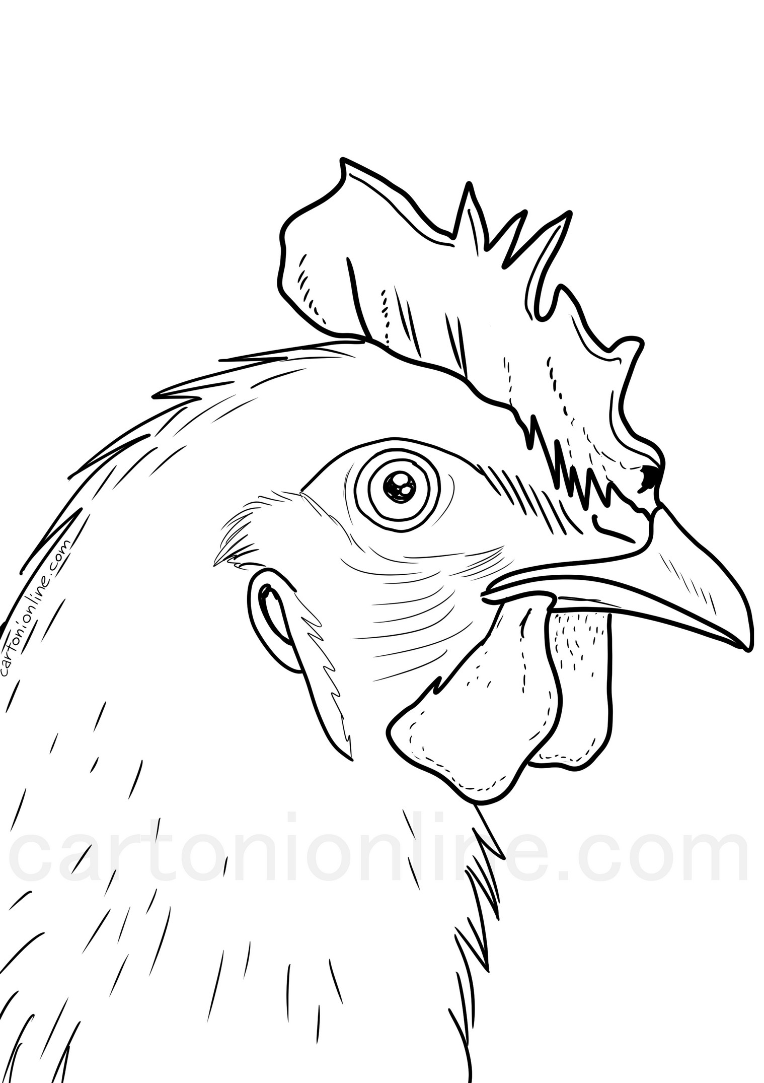 鶏の頭のぬり絵を描く