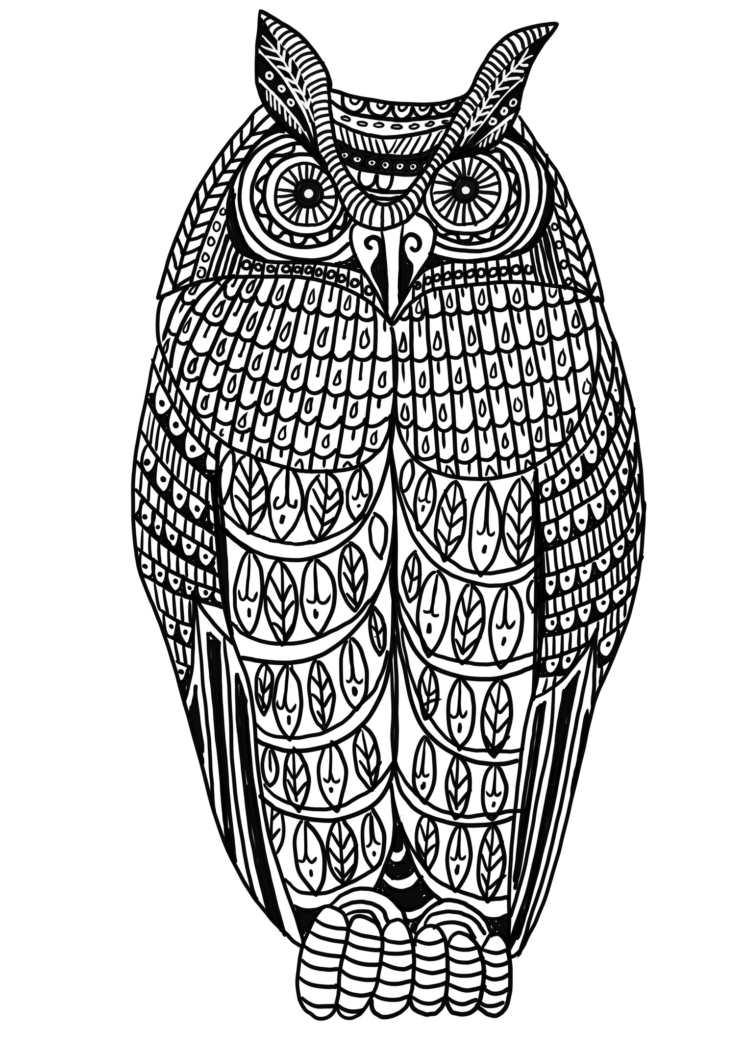 Realistic Owl coloring page