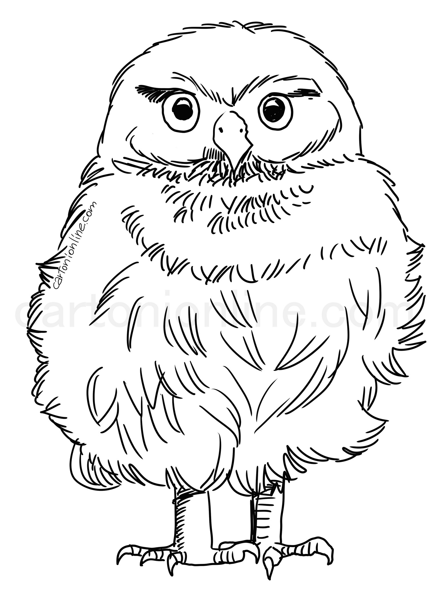Owl chick coloring page
