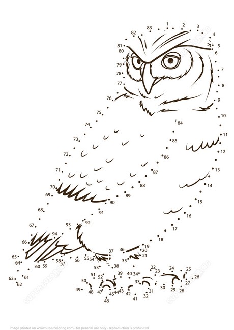 Pagina de colorat Owl pentru a conecta punctele numerotate
