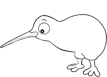 Disegno di uccello kiwi realistico da colorare