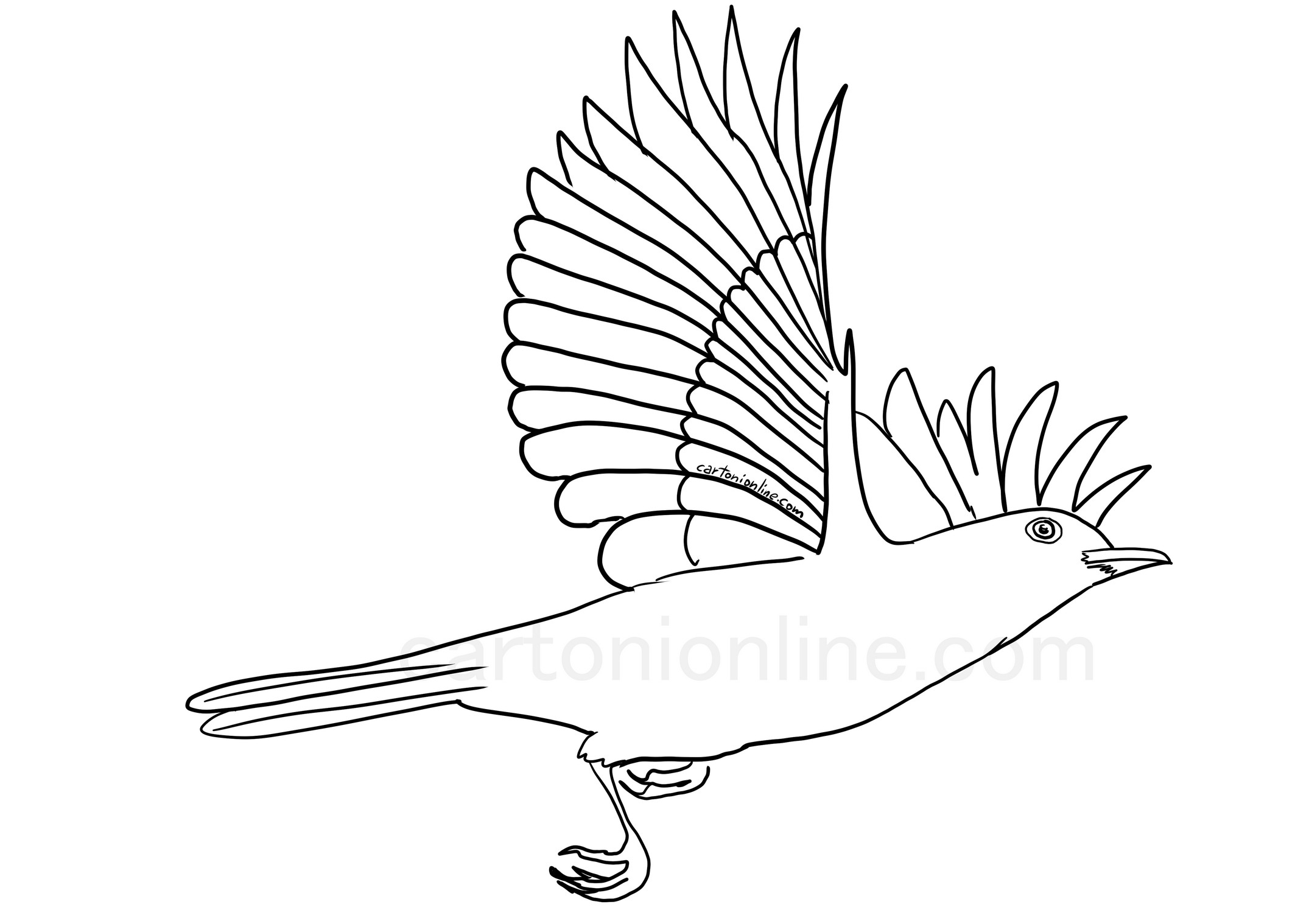 飛行中のクロウタドリのぬり絵を描く