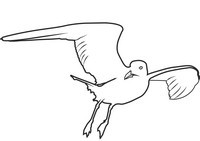 Coloriage de une Albatros de domaine public 
