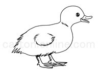 Desenho de pollito de Patos