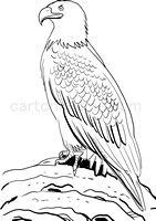 Dibujos para colorear águilas