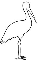 Drawing bird white stork Royalty Free Vector Image