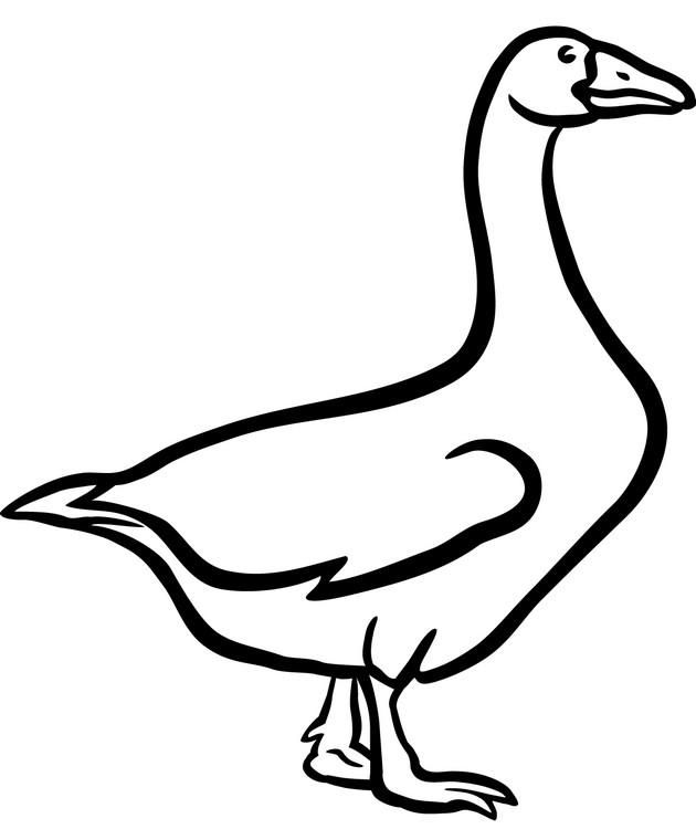 Goose clipart coloring page