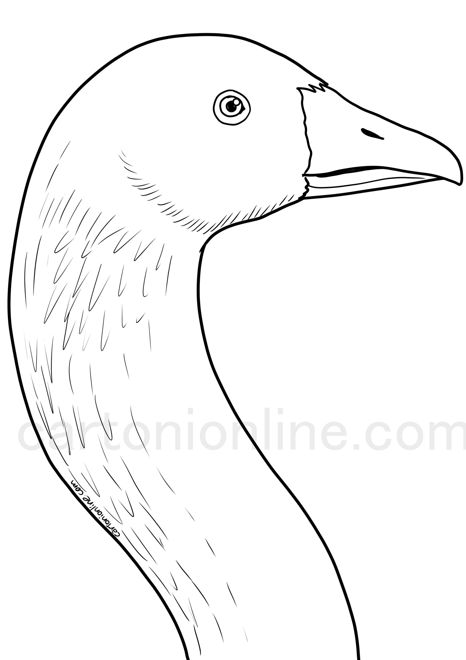 Goose head coloring page