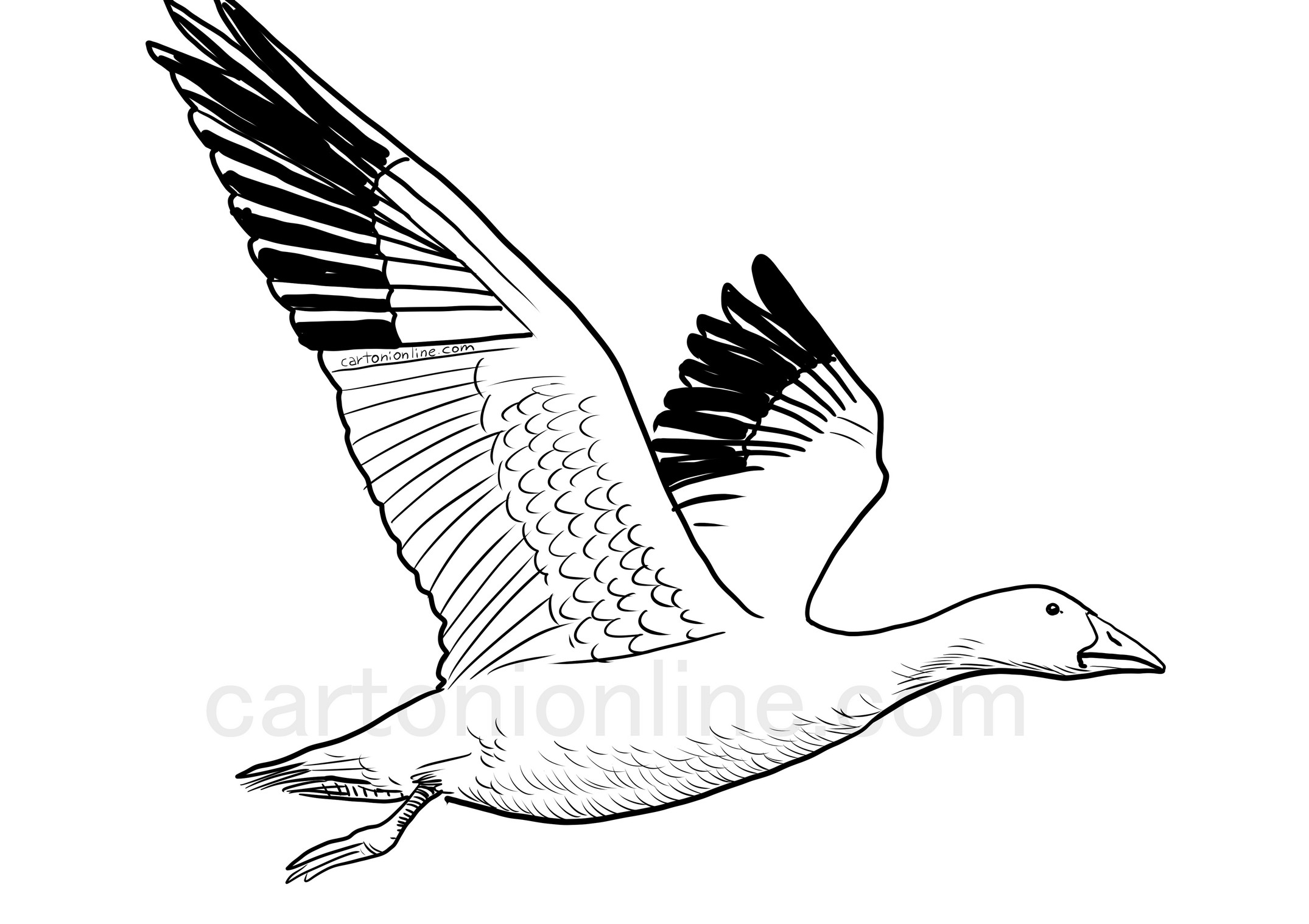 Goose in flight coloring page