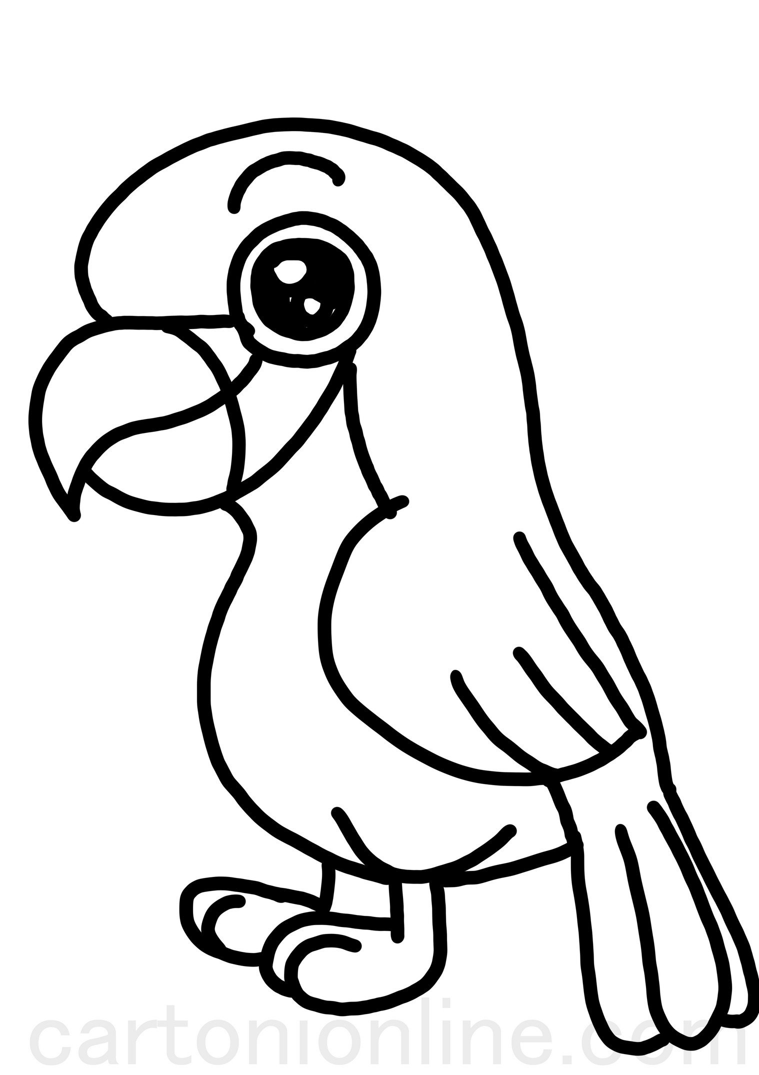Disegno di pappagallo ara realistico da colorare