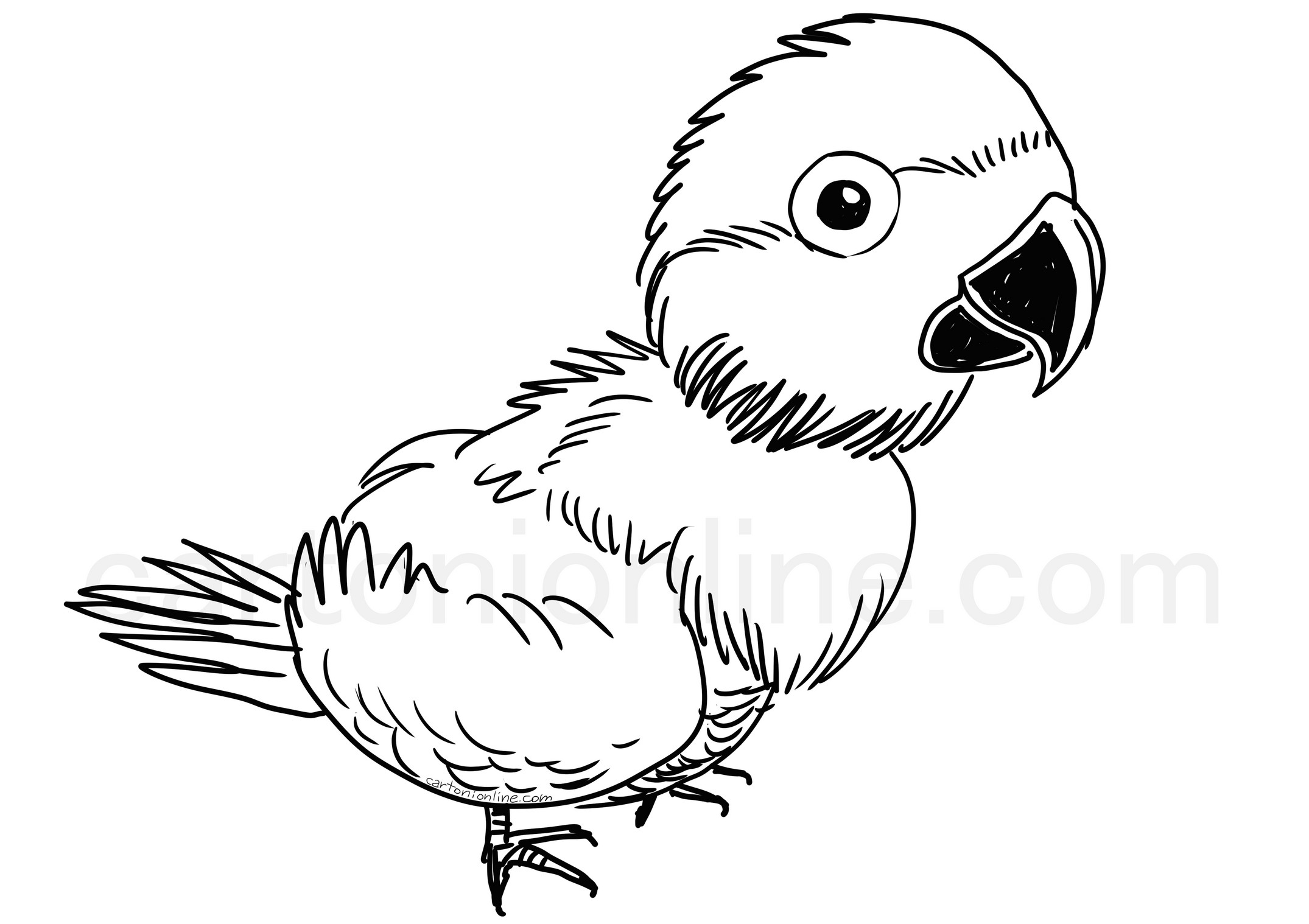 Disegno di pappagallo ara realistico da colorare