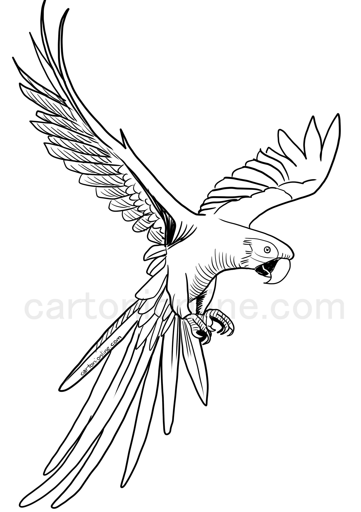 Realistisk ara papegoja målarbok