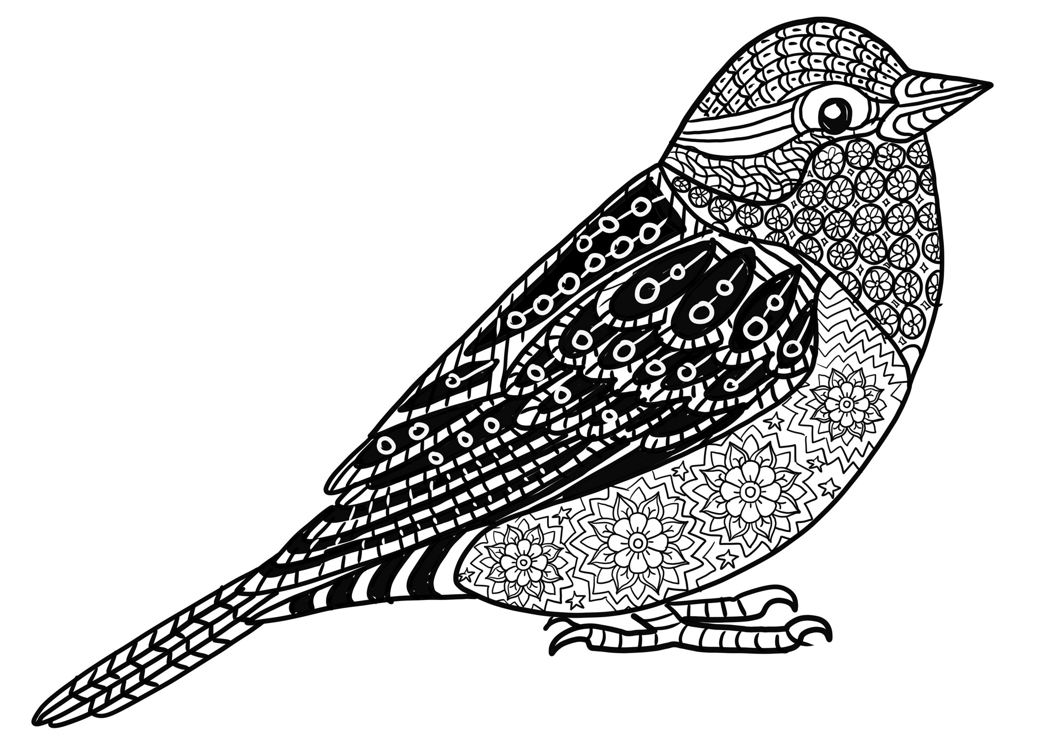 Realistic Sparrow coloring page