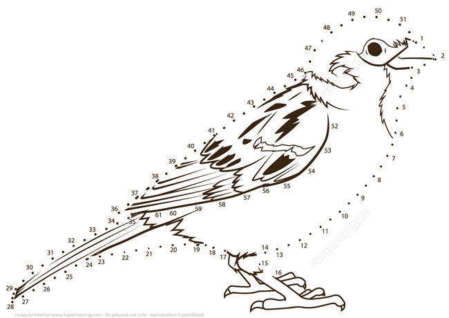 Realistic Sparrow coloring page