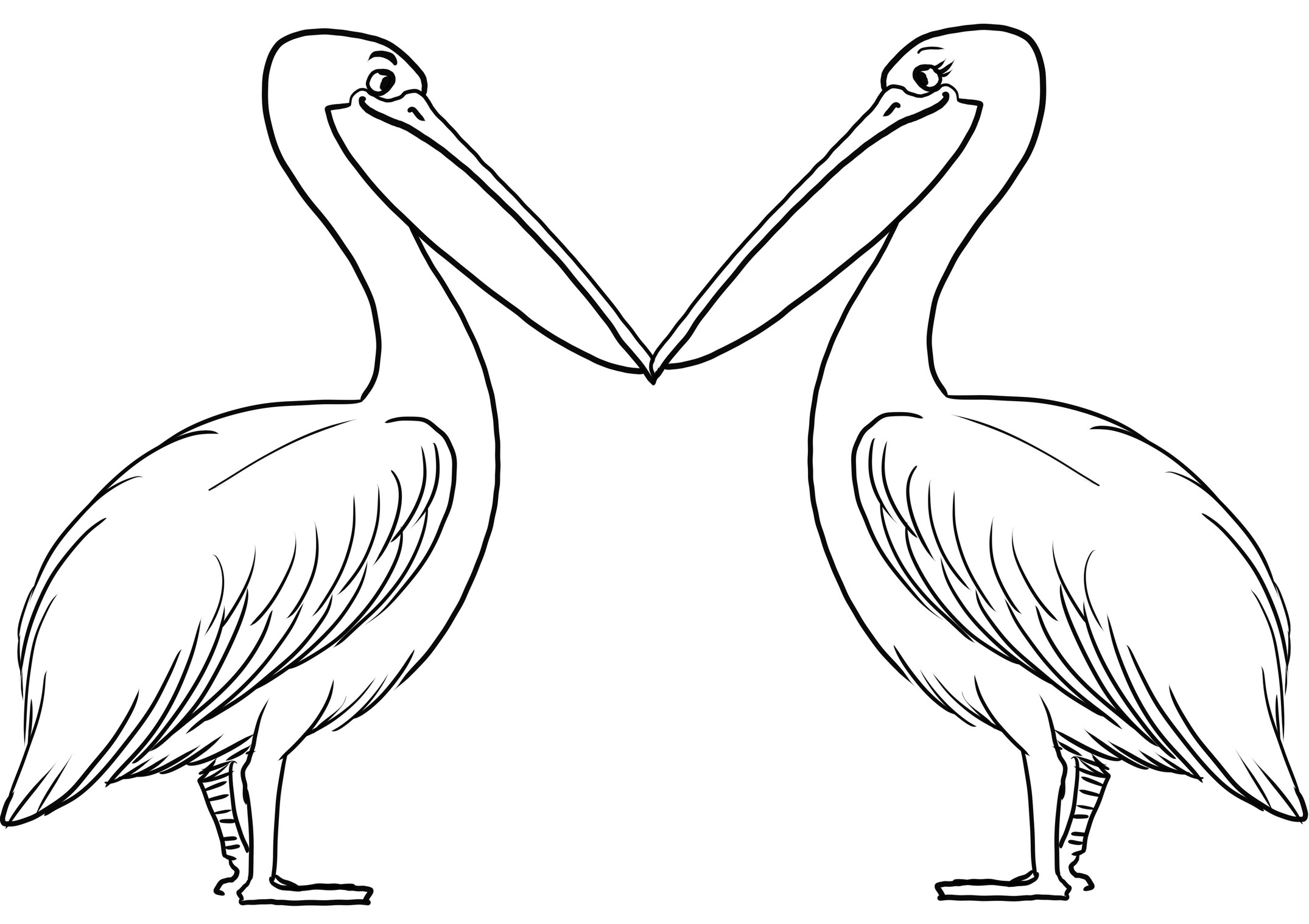 Coloring page of couple of pelicans in love