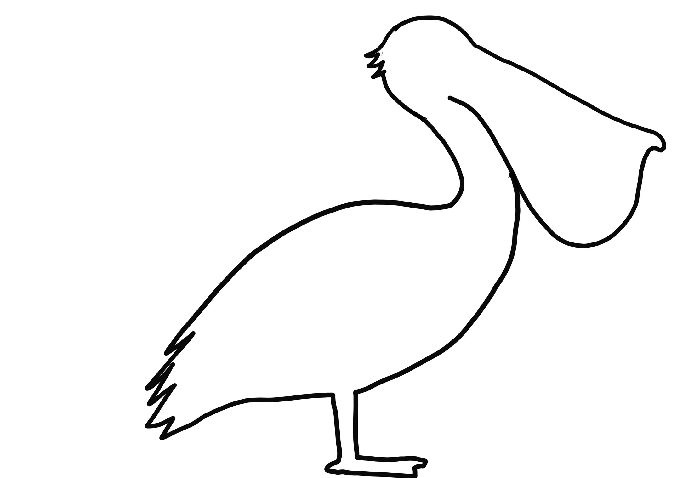 Pelikan silhuett målarbok