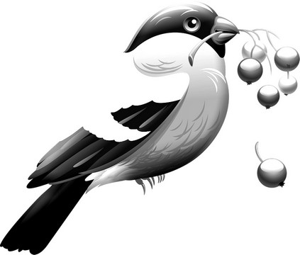 Robin clipart coloring page
